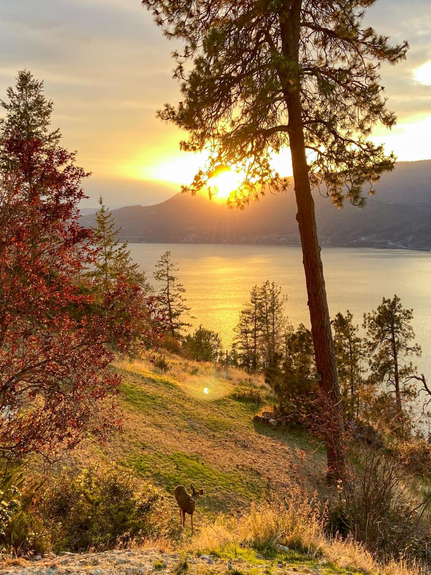 Kelowfornia Lakeview Retreat Kelowna Bagian luar foto