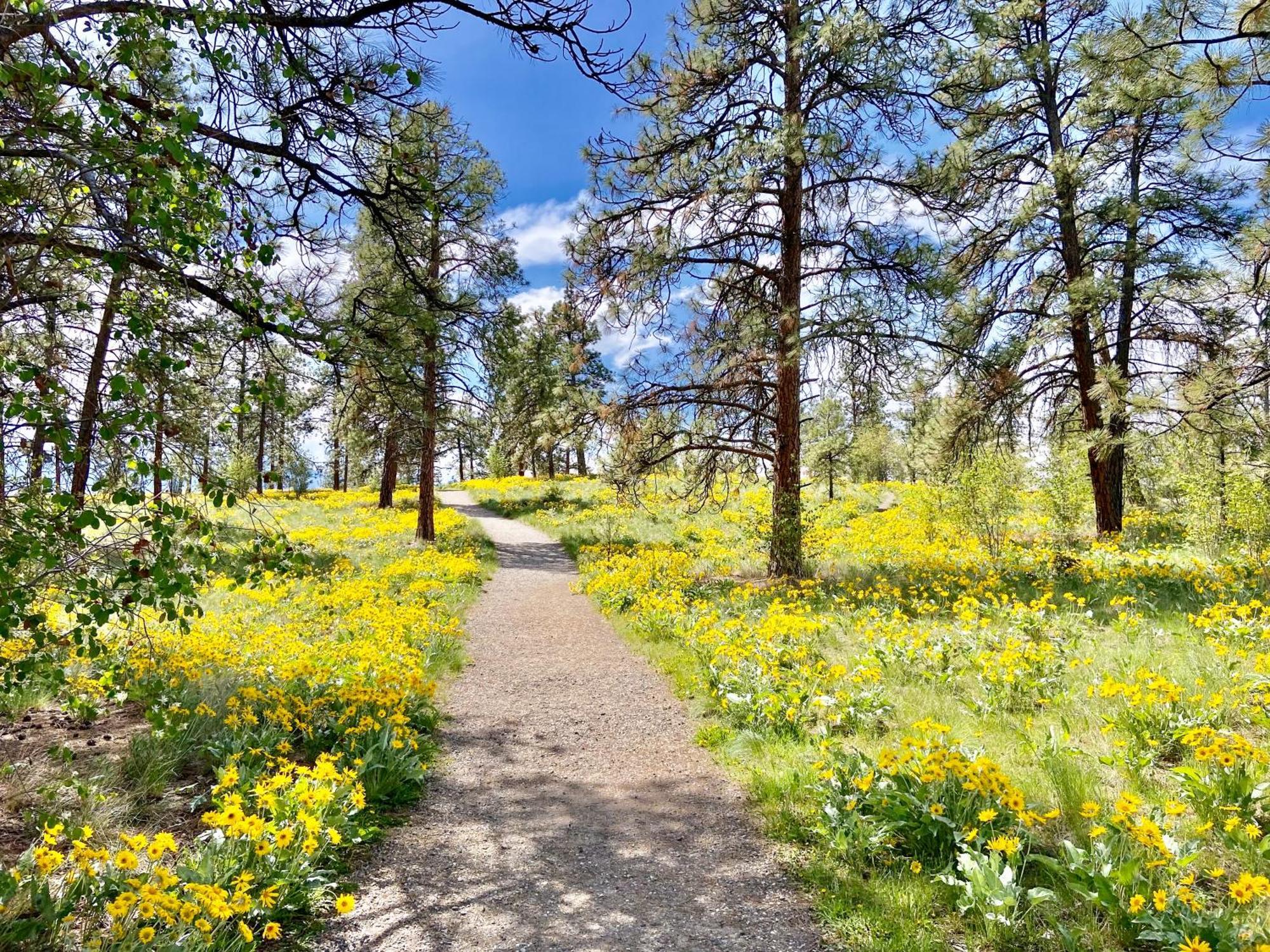 Kelowfornia Lakeview Retreat Kelowna Bagian luar foto