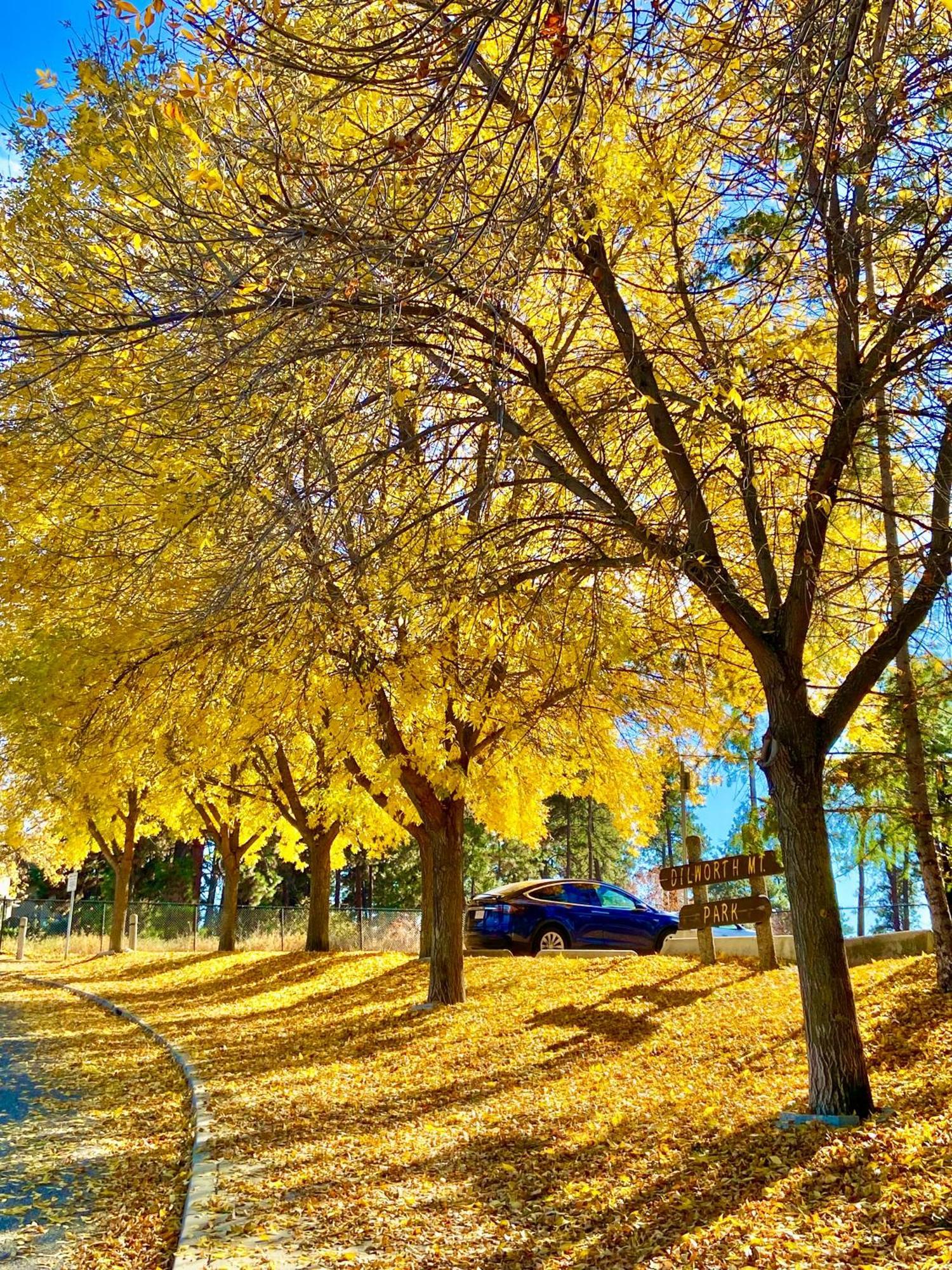 Kelowfornia Lakeview Retreat Kelowna Bagian luar foto